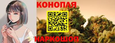прущие крисы Нарткала