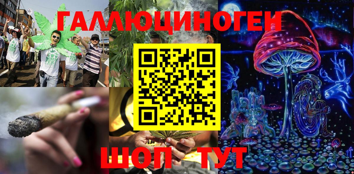 Псилоцибиновые грибы Psilocybe  Вход с VPN  Псилоцибиновые грибы Psilocybe  Холмск 