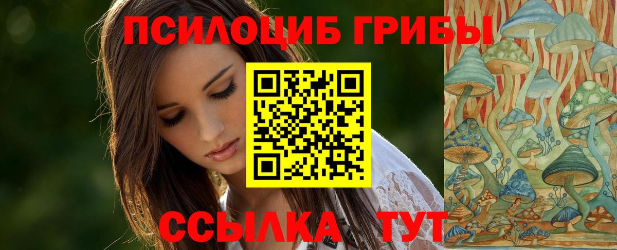 Псилоцибиновые грибы Psilocybe Холмск