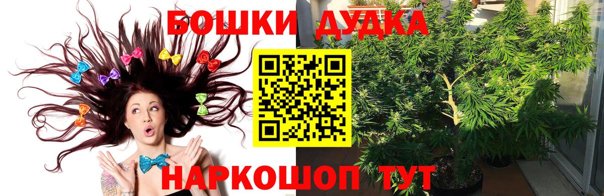 Бошки марихуана планчик  Бошки Шишки MAZAR  Каннабис Amnesia  Холмск  Вход с VPN 